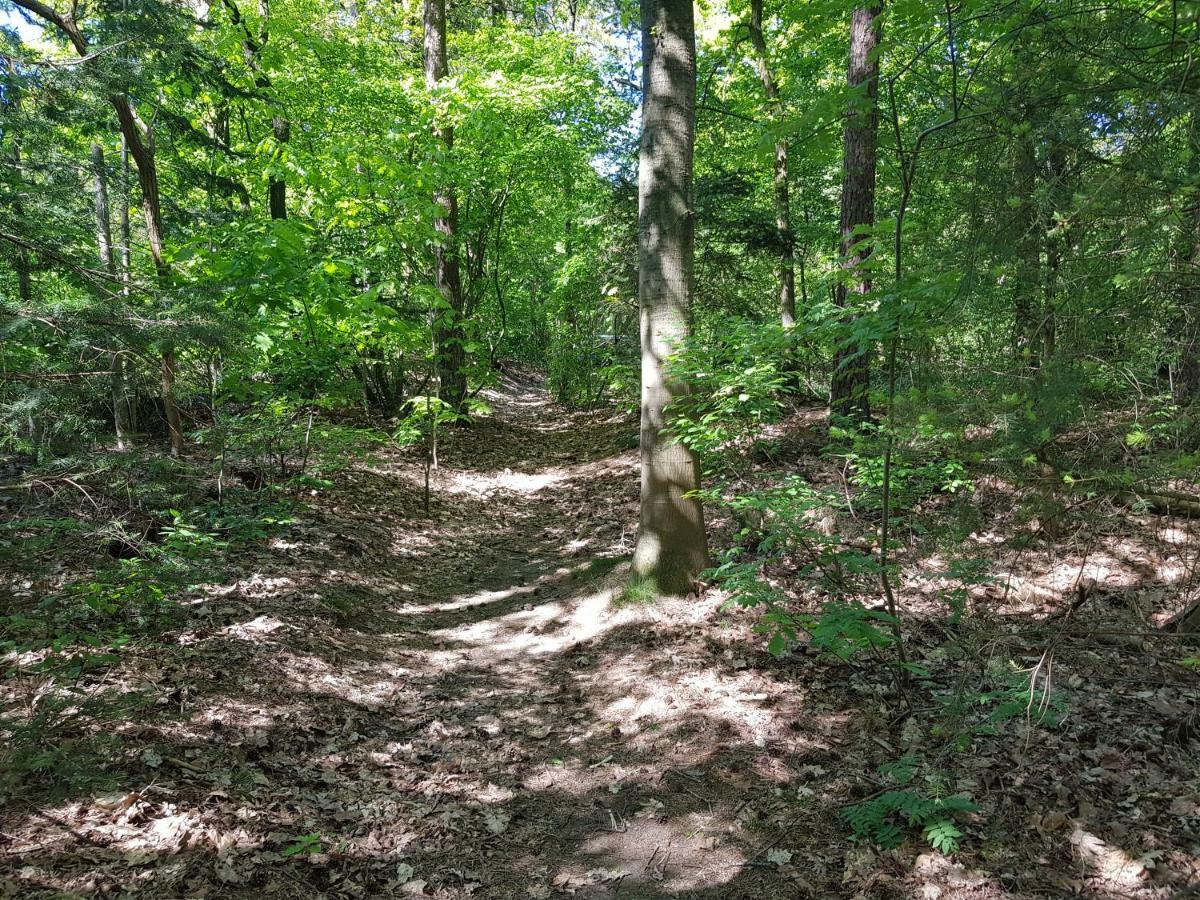 Knusse 5 Persoons Bungalow Hartje Veluwe Otterlo Eksteriør bilde